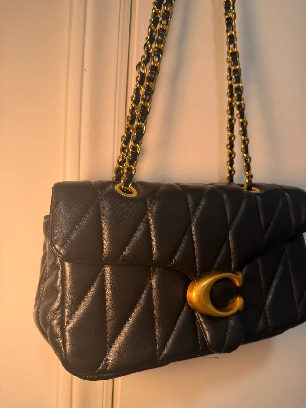 Coach Tabby Bag